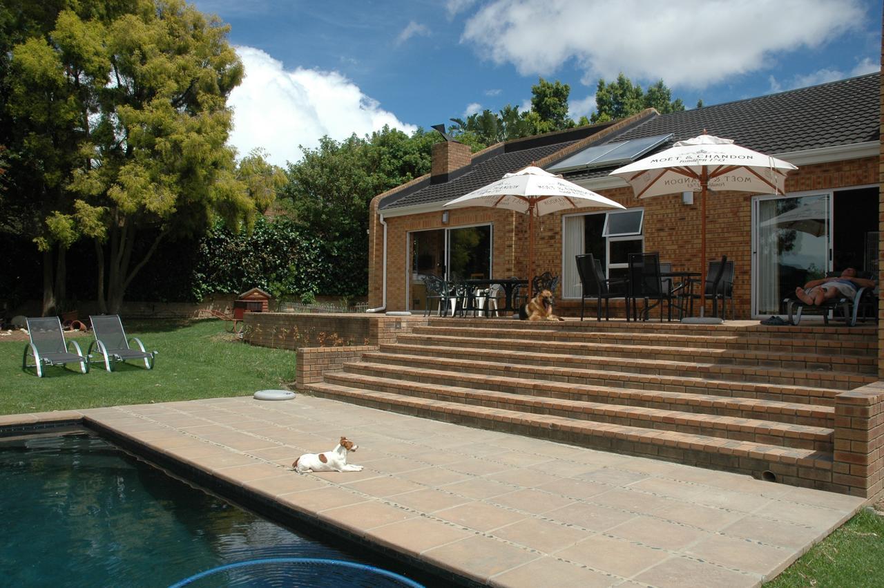 סטלנבוש Edelweiss Bed & Breakfast מראה חיצוני תמונה